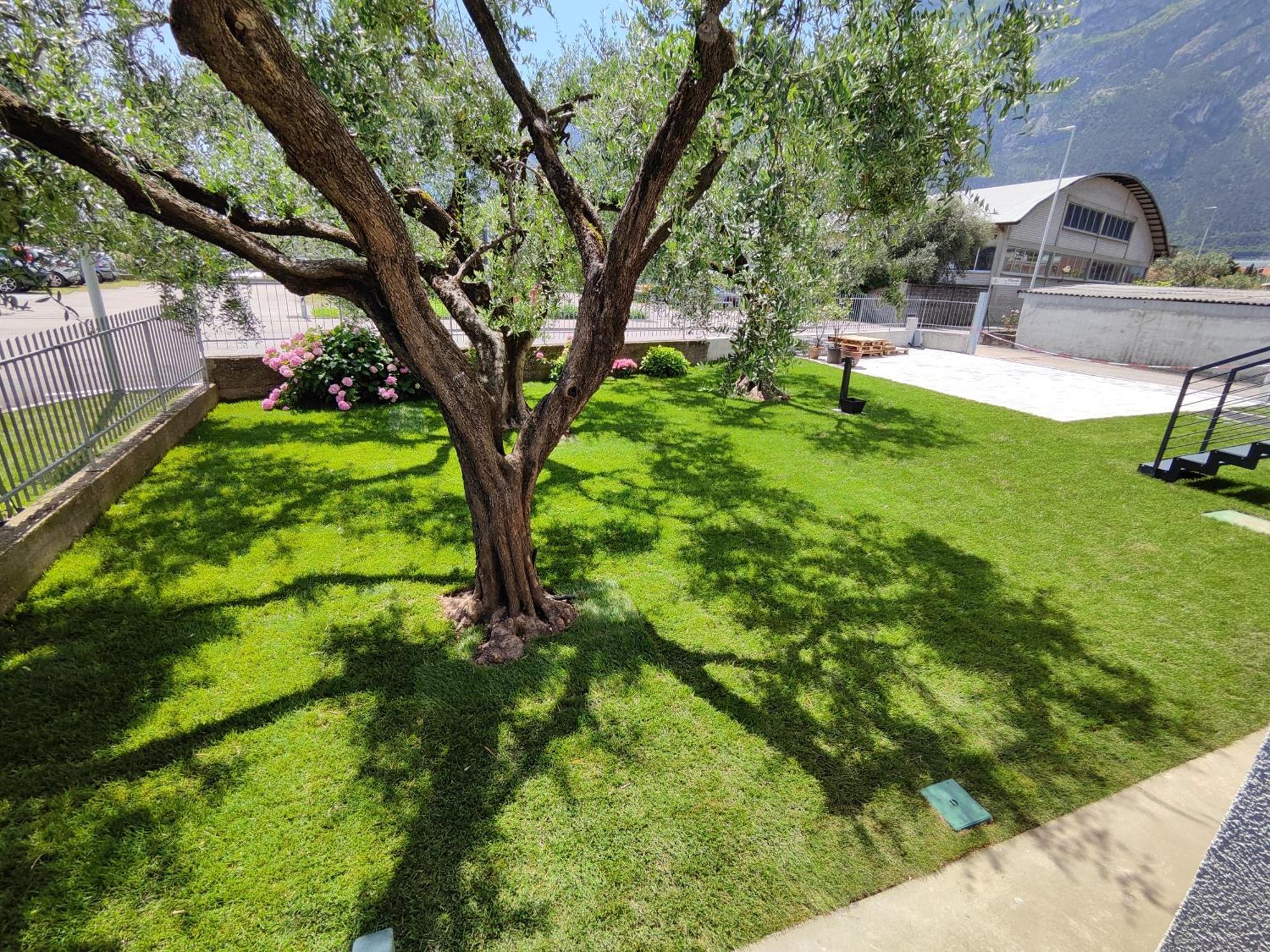 Oasi Degli Ulivi Apartment Riva del Garda Exterior photo