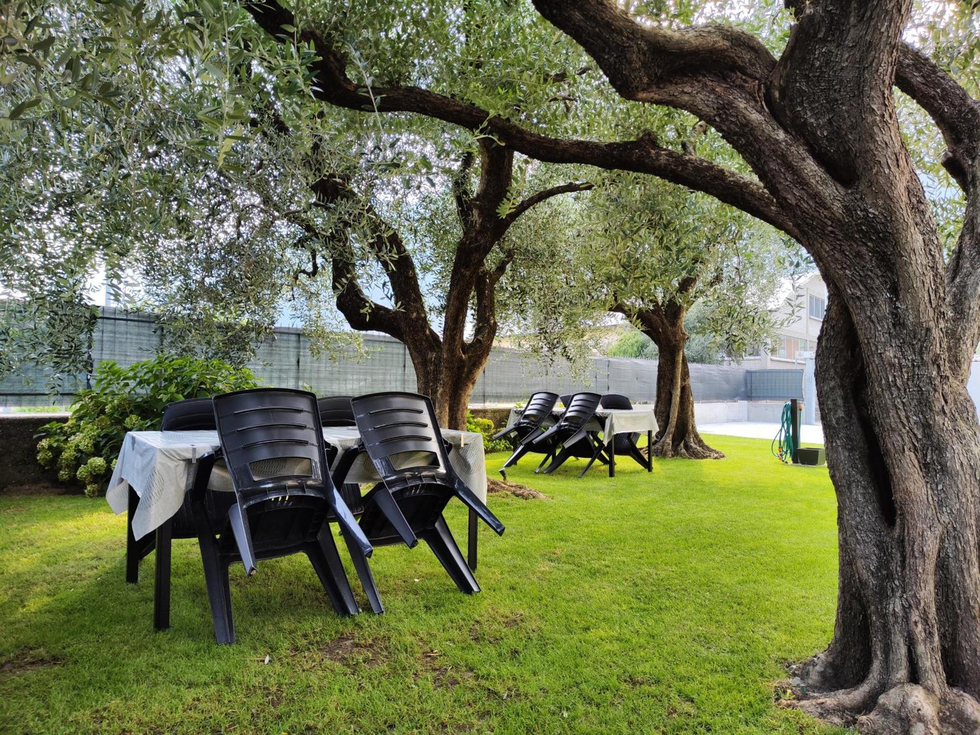 Oasi Degli Ulivi Apartment Riva del Garda Exterior photo